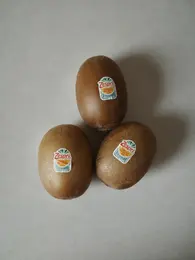 【写真】コストコで買いたいおすすめ品_1_17