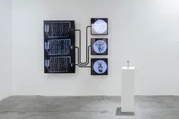 Entangled Others - 《self-contained 009.4》Art Singapore (credit Gazelli Art House)