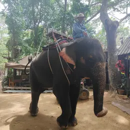 【写真】おすすめタイ旅行 | 観光スポットやお土産、グルメなど_1_3
