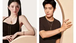 キャトルクラシック　新作