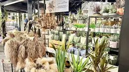 【写真】シンガポールで買いたいお土産まとめ_1_28