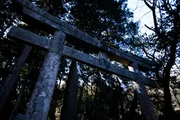 映画　近畿地方のある場所について　怪現象があったとされる鳥居の写真