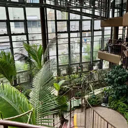 夏のお出かけ・イベント（写真）_1_24