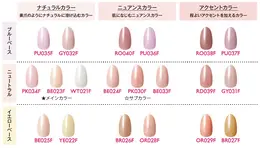 ネイルホリック　爪用ファンデ　カラーチャート