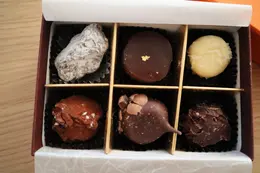 アムール　デュ　ショコラ　2025　高島屋　タカシマヤ　バレンタイン　チョコ　　しろたえ　SIROTAE　ボンボンショコラ　アソート　チョコレート