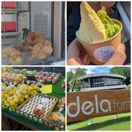 【写真】美味アイスを徹底レビュー_1_1