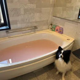 【フォトギャラリー】生理のお悩み、おすすめショーツなどまとめてチェック！_1_2