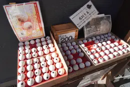 【長野・軽井沢】熊野皇大神社 |　厄割り玉