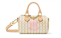 ナノ・スピーディ￥332200（W16×H10×D7.5cm）