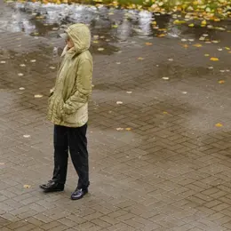 ニット、コートほか冬物のお手入れ方法（写真）_1_2