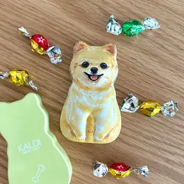 【フォトギャラリー】カルディコーヒーファーム(KALDI COFFEE FARM)のおすすめ品まとめ_1_2