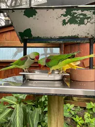 スーパーバイラーズの海外旅行レポを写真でチェック_1_2