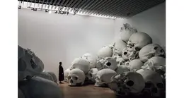 《マス》2016-2017年