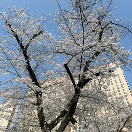 働く女性たちへ！　バイラ読書部がおすすめする本　フォトギャラリー_1_1