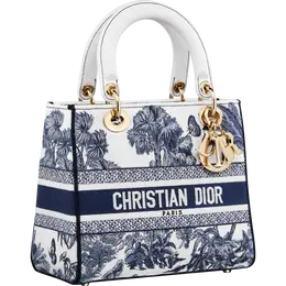 「レディ D-ライト」バッグ ミディアム ￥765000