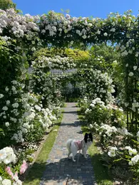 【写真】住んで楽しむハウステンボスの魅力_1_40