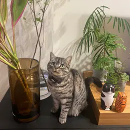 【フォトギャラリー】スイーツ、マンガ、スキンケア…みんなのおうち時間の過ごし方_1_13