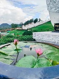 タイ　ハスの花