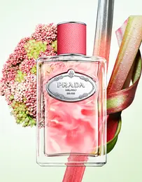 フレグランスコレクション「インフュージョン ドゥ プラダ」新作「ルバーブ オーデパルファム」